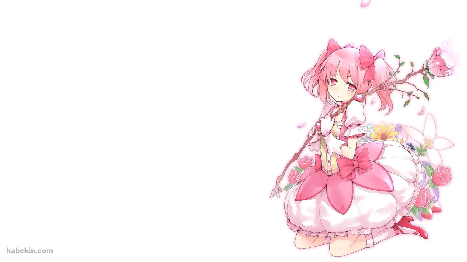 ピンクの花を持つ可愛い鹿目まどか / 魔法少女まどか☆マギカの壁紙(1536px x 864px) 高画質 PC・デスクトップ用