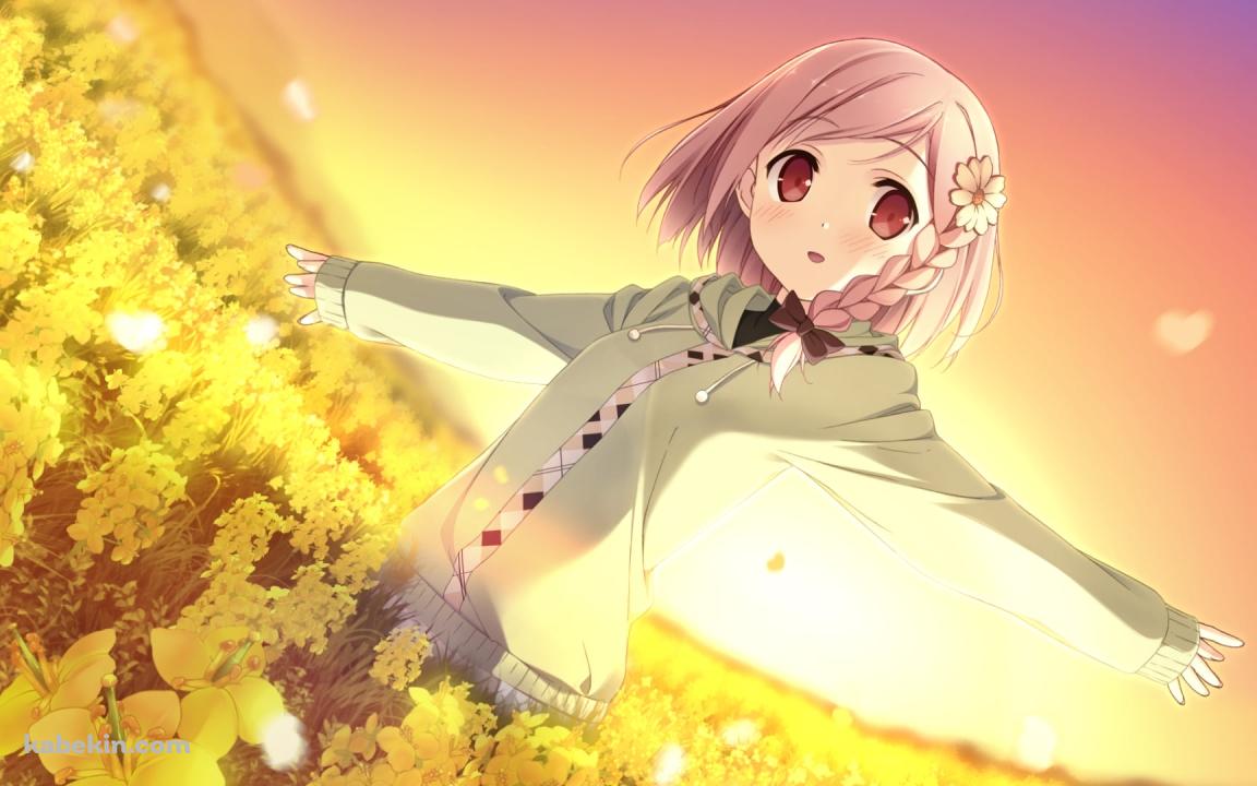 菜の花畑で手を広げるゆあ / ユアダイアリーの壁紙(1152px x 720px) 高画質 PC・デスクトップ用