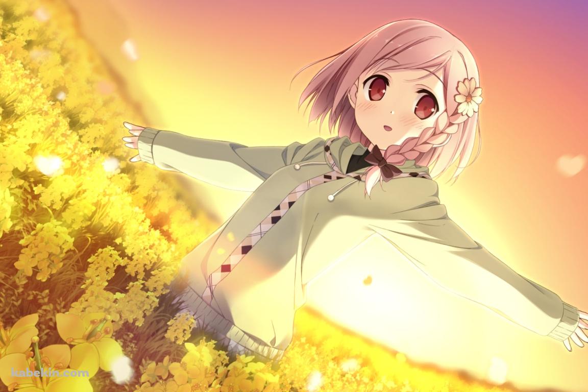 菜の花畑で手を広げるゆあ / ユアダイアリーの壁紙(1152px x 768px) 高画質 PC・デスクトップ用