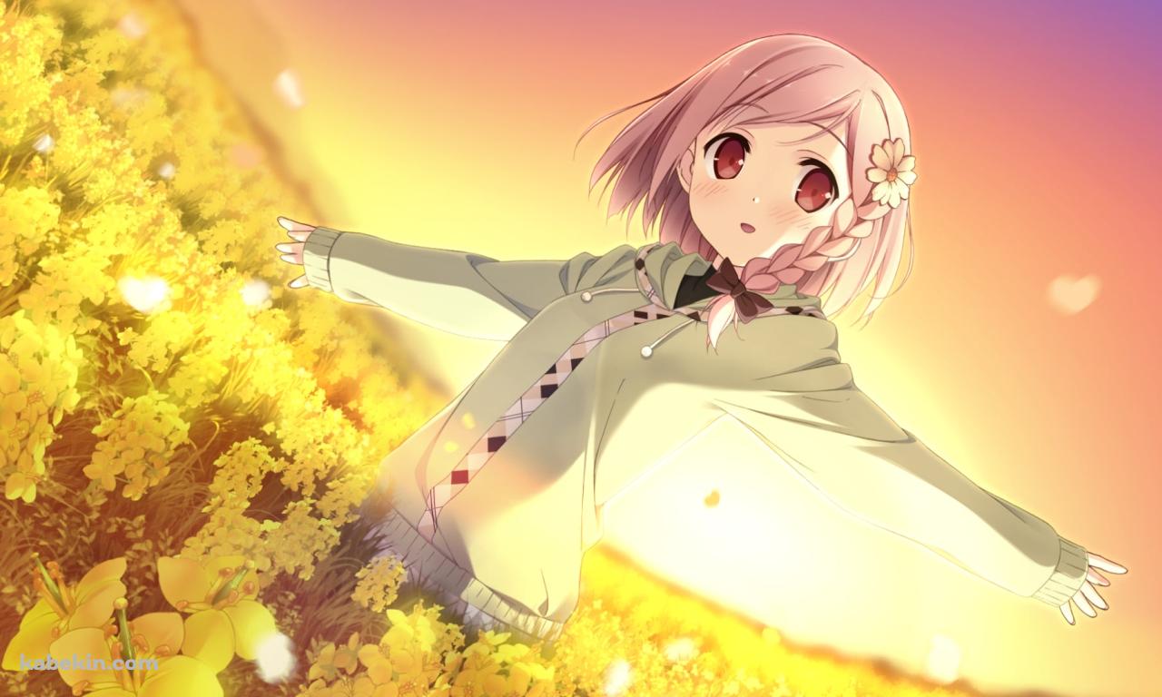 菜の花畑で手を広げるゆあ / ユアダイアリーの壁紙(1280px x 768px) 高画質 PC・デスクトップ用