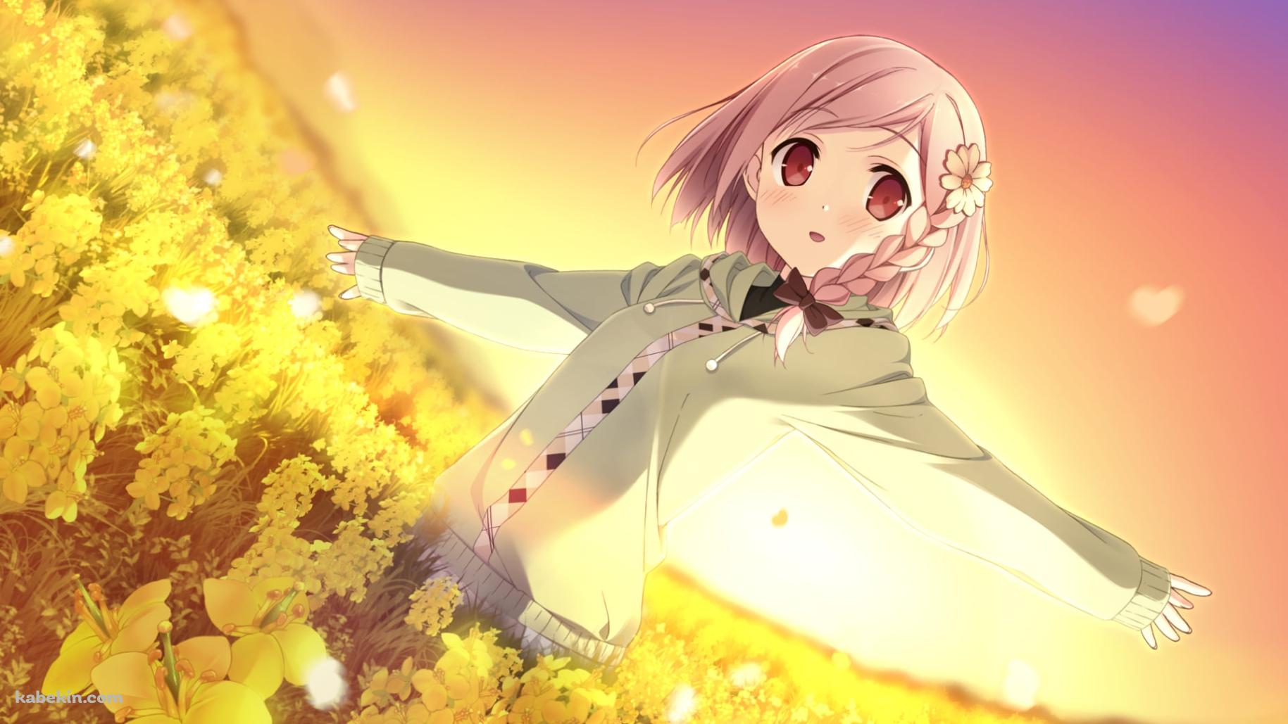 菜の花畑で手を広げるゆあ / ユアダイアリーの壁紙(1829px x 1029px) 高画質 PC・デスクトップ用