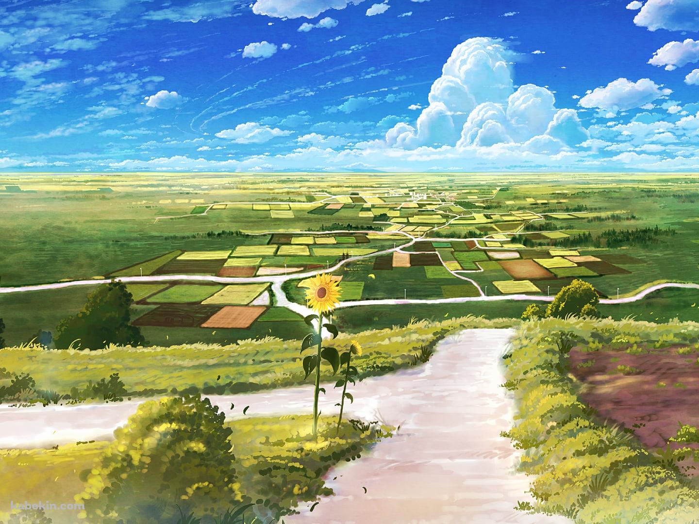 向日葵咲く分かれ道 / 田舎 / 田んぼ / 青空 / 夏の壁紙(1440px x 1080px) 高画質 PC・デスクトップ用