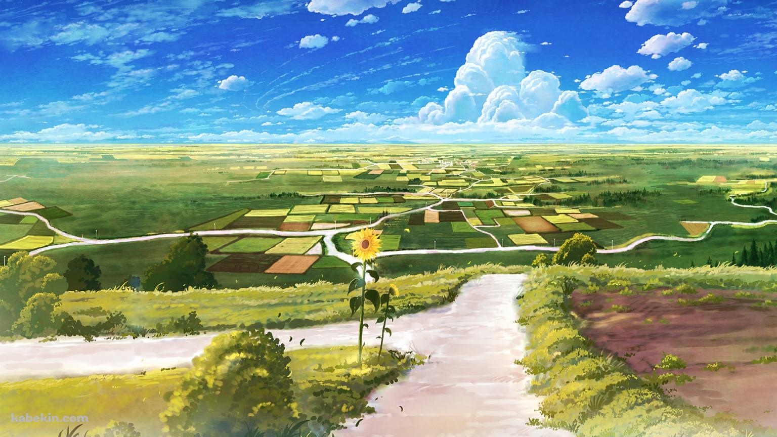 向日葵咲く分かれ道 / 田舎 / 田んぼ / 青空 / 夏の壁紙(1536px x 864px) 高画質 PC・デスクトップ用