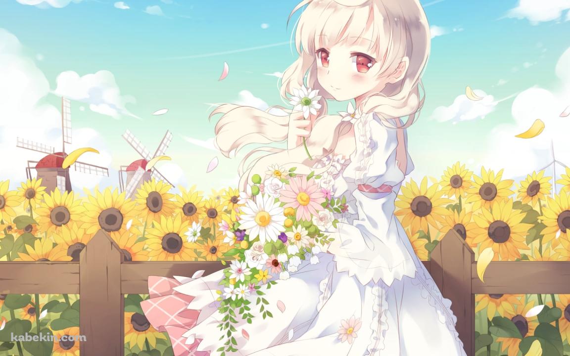 白い花を持つ可愛い荻原 杏子 / 向日葵 / 風車 / CAFE SOURIREの壁紙(1152px x 720px) 高画質 PC・デスクトップ用