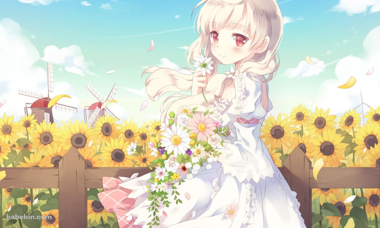 白い花を持つ可愛い荻原 杏子 / 向日葵 / 風車 / CAFE SOURIREの壁紙(1280px x 768px) 高画質 PC・デスクトップ用