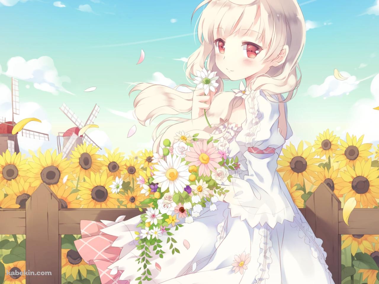 白い花を持つ可愛い荻原 杏子 / 向日葵 / 風車 / CAFE SOURIREの壁紙(1280px x 960px) 高画質 PC・デスクトップ用