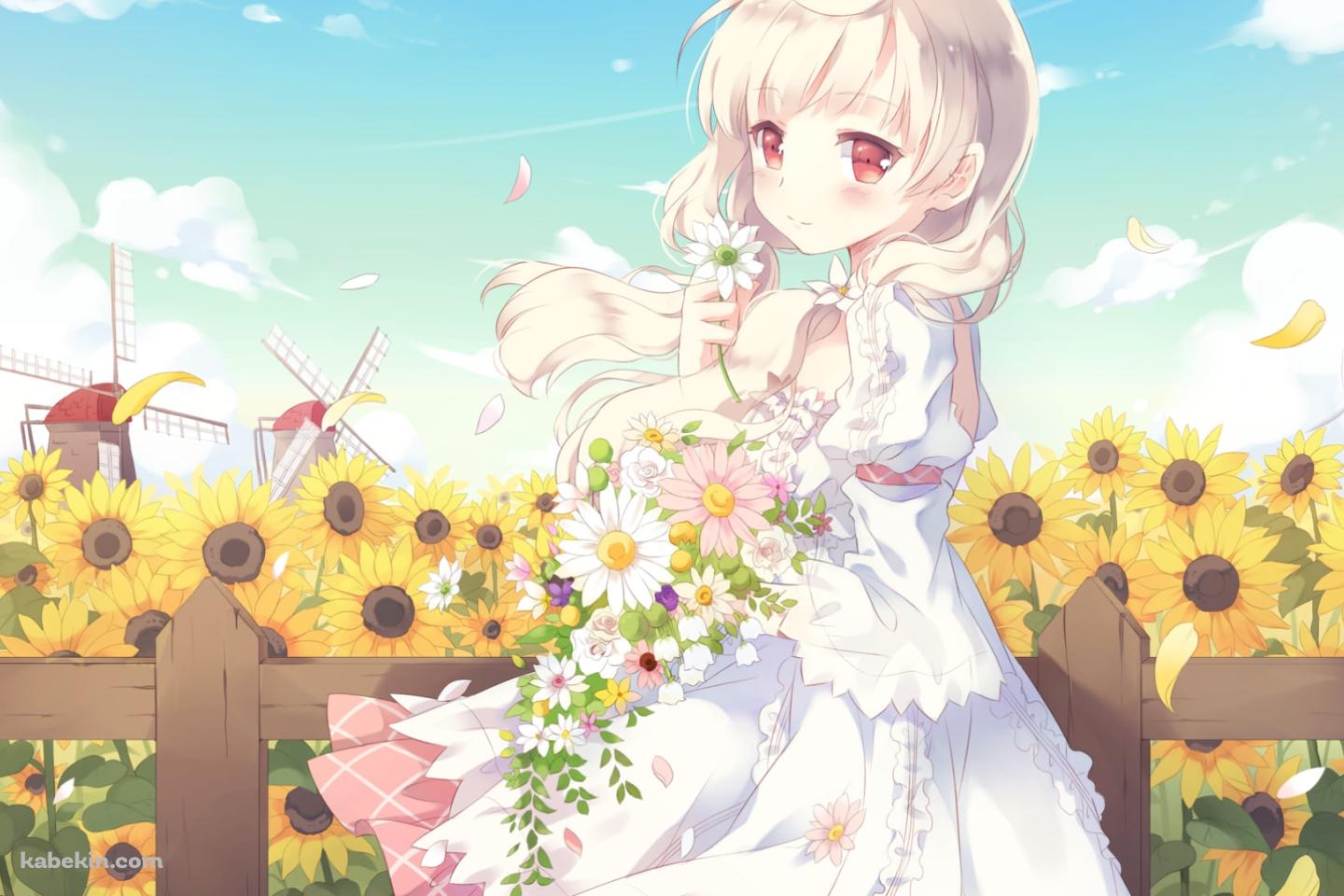 白い花を持つ可愛い荻原 杏子 / 向日葵 / 風車 / CAFE SOURIREの壁紙(1440px x 960px) 高画質 PC・デスクトップ用