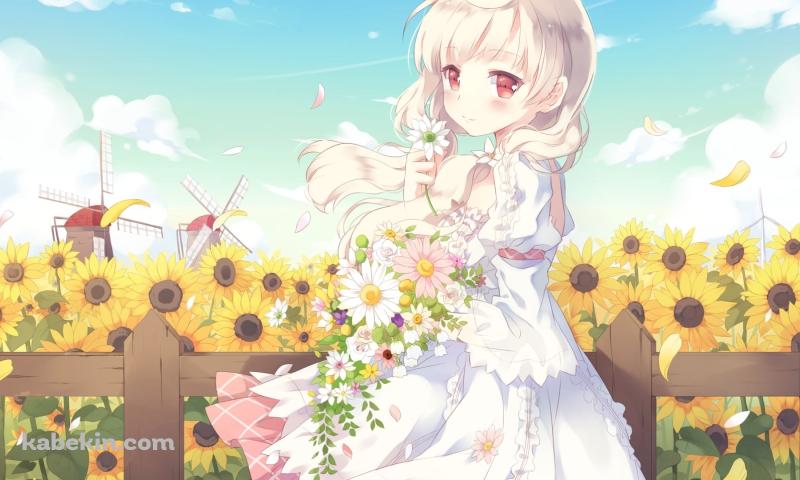 白い花を持つ可愛い荻原 杏子 / 向日葵 / 風車 / CAFE SOURIREの壁紙(800px x 480px) 高画質 PC・デスクトップ用