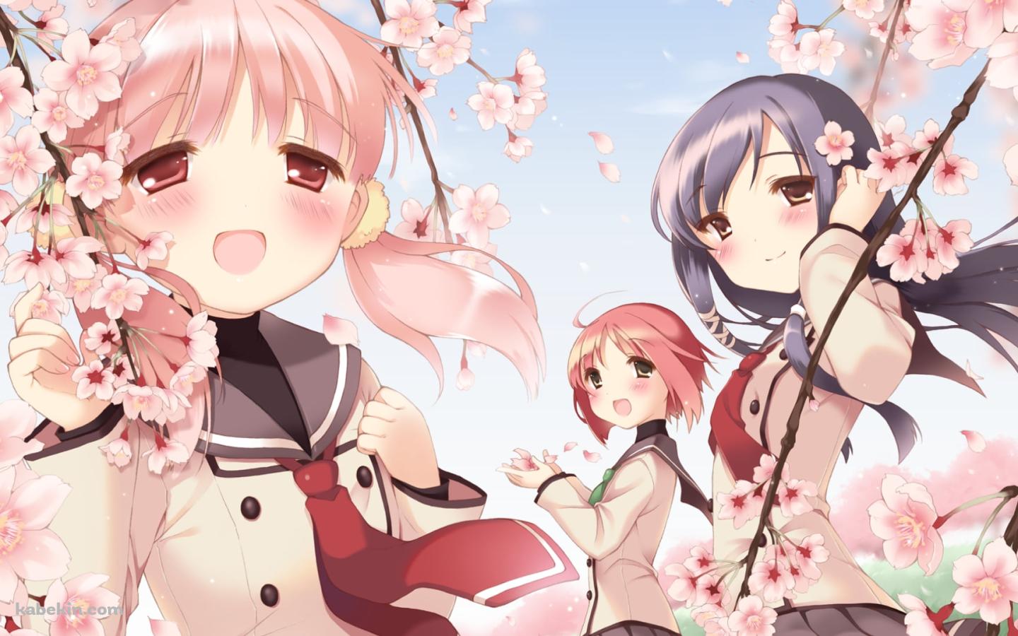 桜と制服を着た秋野 紅葉 / 桐山 桜 / 瀬良 可憐 / さくらむすびの壁紙(1440px x 900px) 高画質 PC・デスクトップ用