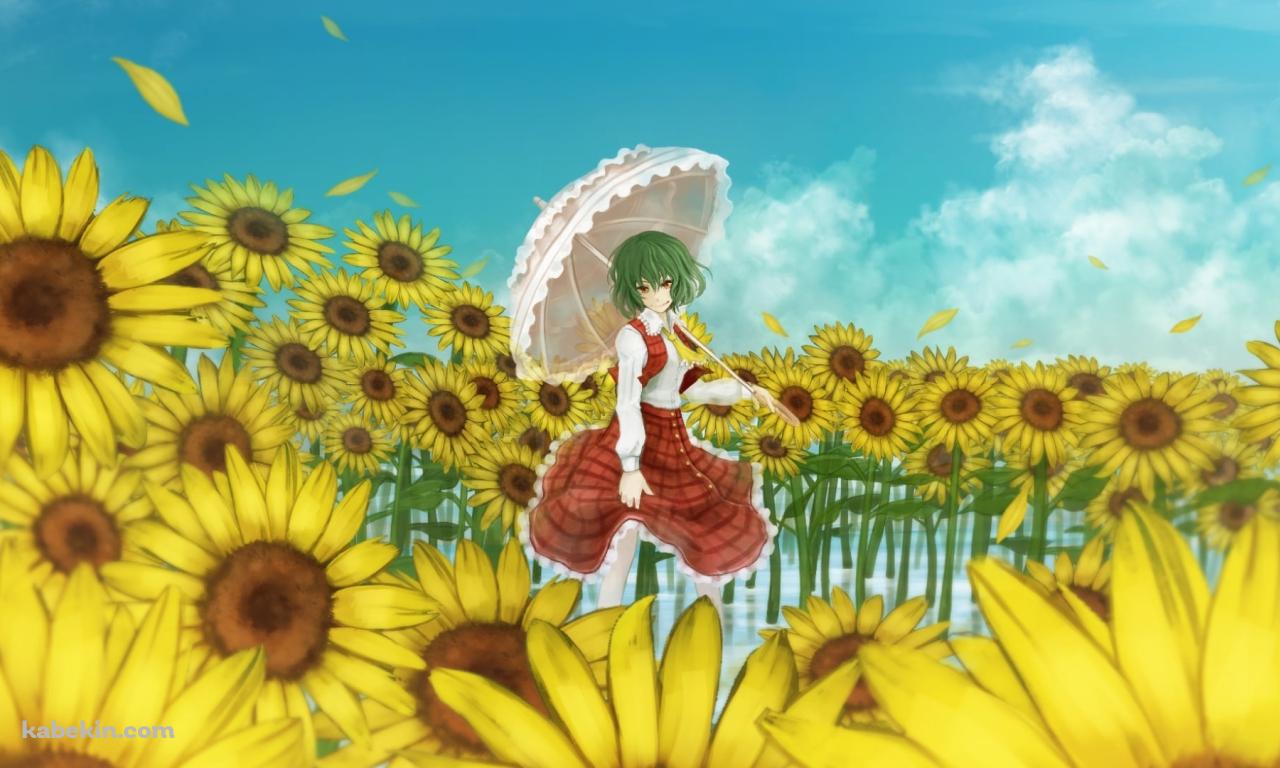 向日葵に囲まれて日傘をさす風見幽香 / 東方の壁紙(1280px x 768px) 高画質 PC・デスクトップ用