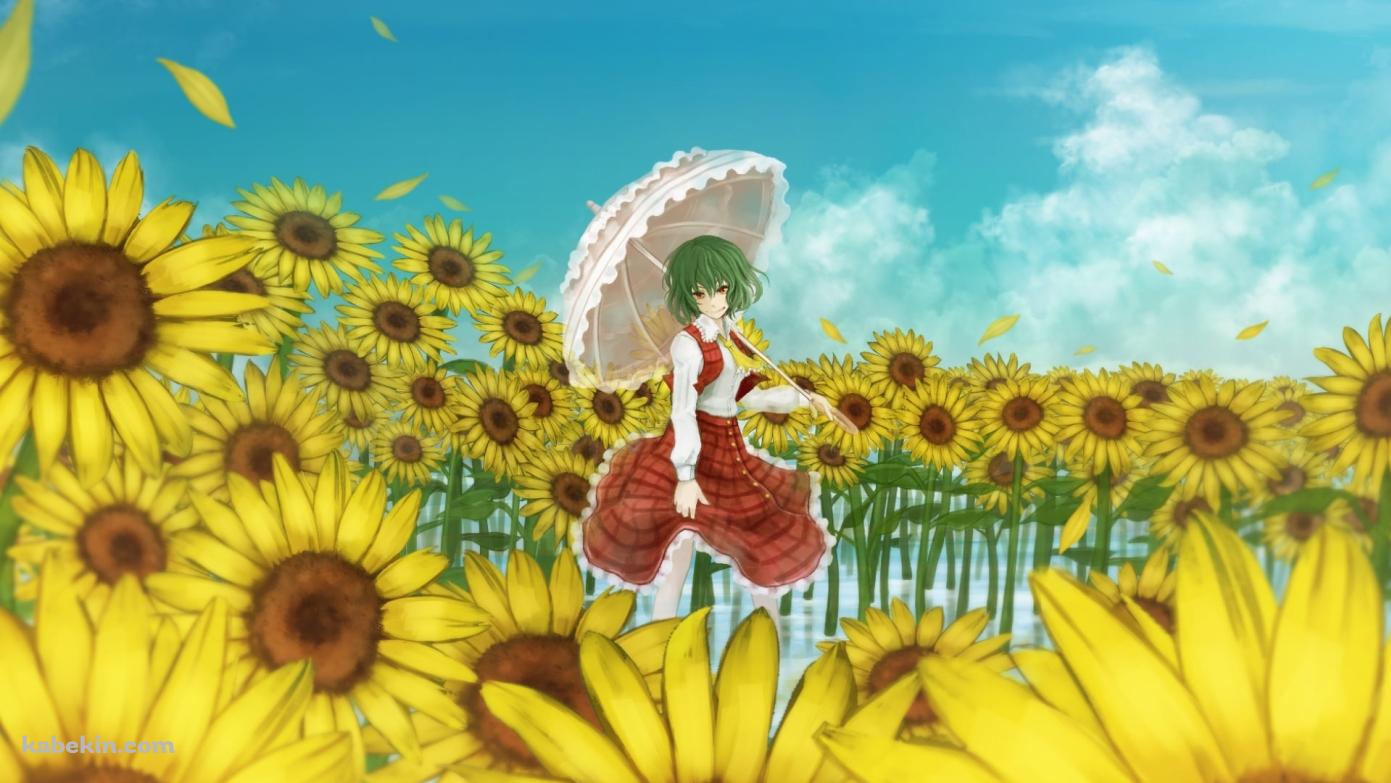 向日葵に囲まれて日傘をさす風見幽香 / 東方の壁紙(1391px x 783px) 高画質 PC・デスクトップ用