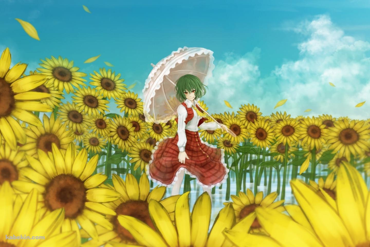 向日葵に囲まれて日傘をさす風見幽香 / 東方の壁紙(1440px x 960px) 高画質 PC・デスクトップ用