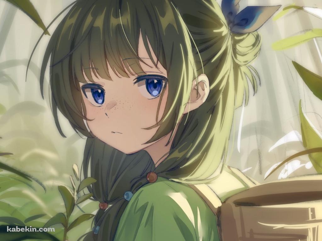 野草を摘みこちらを見つめる可愛い猫猫 / 薬屋のひとりごとの壁紙(1024px x 768px) 高画質 PC・デスクトップ用