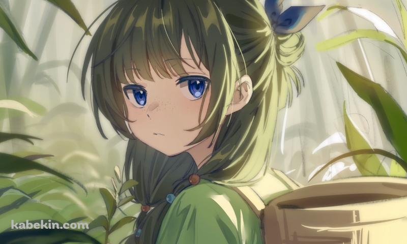 野草を摘みこちらを見つめる可愛い猫猫 / 薬屋のひとりごとの壁紙(800px x 480px) 高画質 PC・デスクトップ用