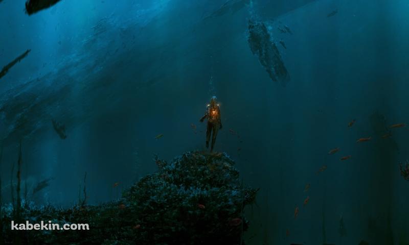 仄暗い海中を泳ぐダイバー / 女性 / オレンジの魚の群れの壁紙(800px x 480px) 高画質 PC・デスクトップ用
