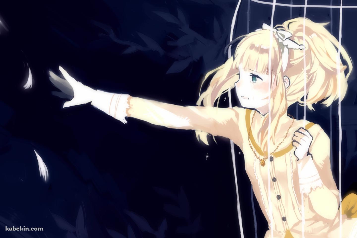 鳥かごから手を伸ばす可愛いエリーザベト・フォン・ヴェッティン / Sound Horizonの壁紙(1440px x 960px) 高画質 PC・デスクトップ用