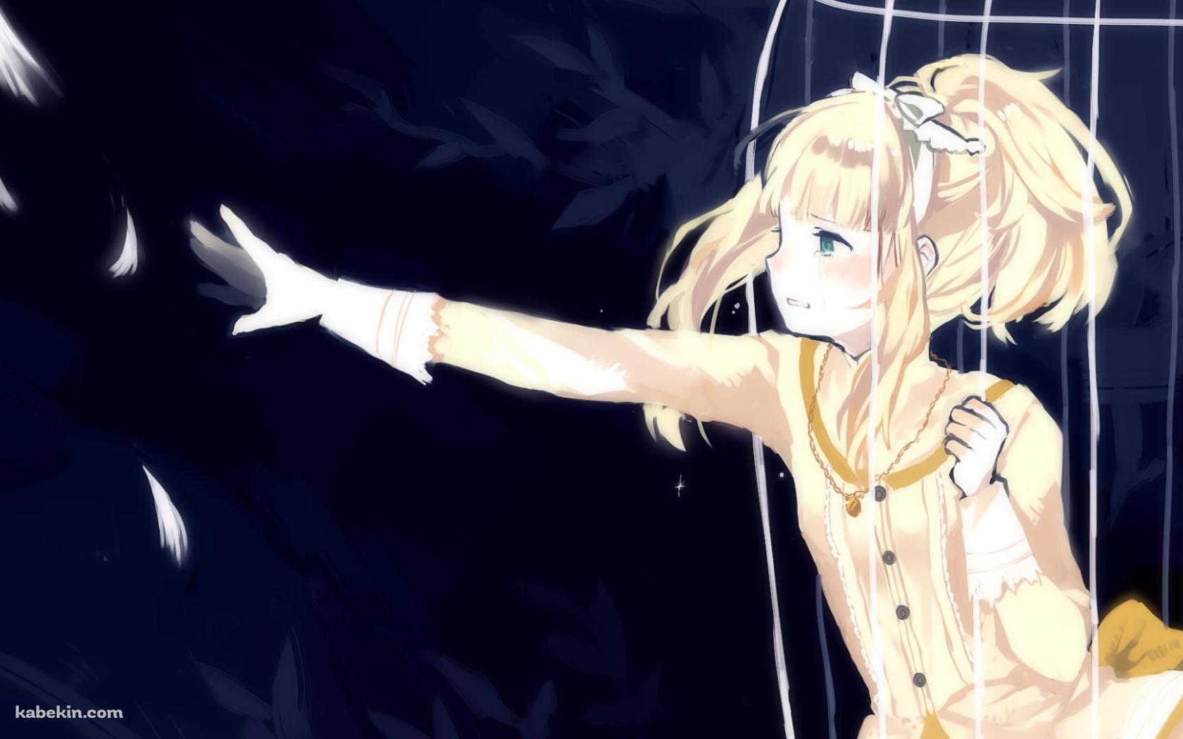 鳥かごから手を伸ばす可愛いエリーザベト・フォン・ヴェッティン / Sound Horizonの壁紙(1680px x 1050px) 高画質 PC・デスクトップ用