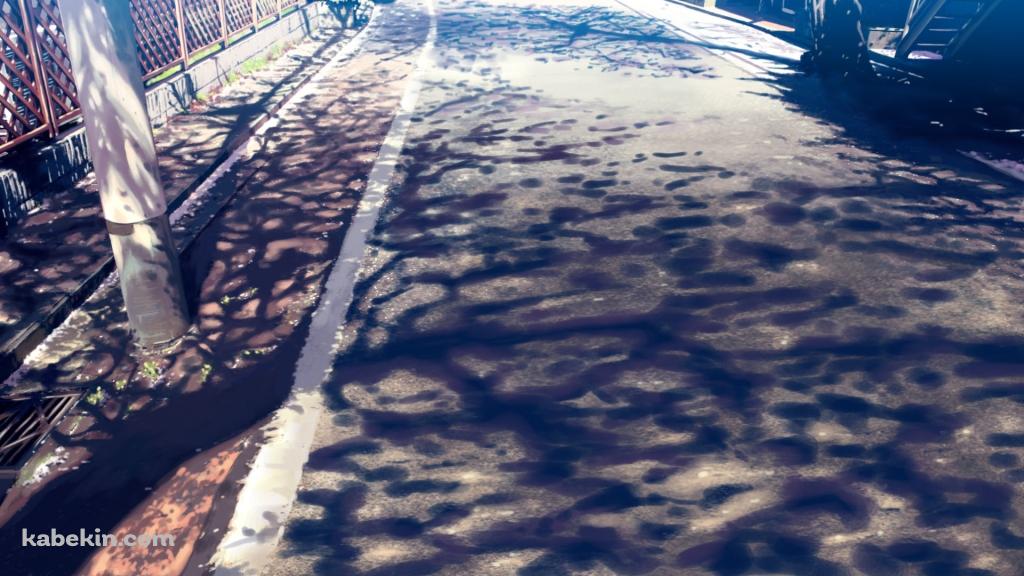 木の影が映る道路と電柱の壁紙(1024px x 576px) 高画質 PC・デスクトップ用