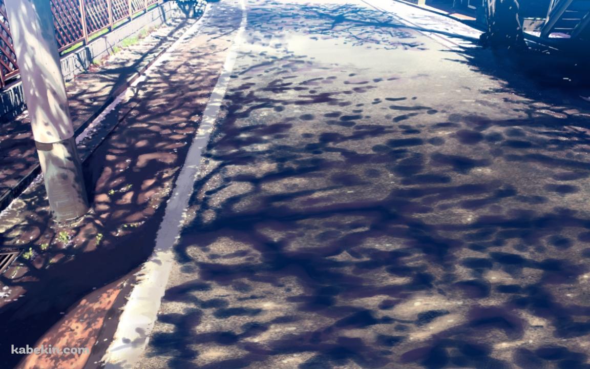 木の影が映る道路と電柱の壁紙(1152px x 720px) 高画質 PC・デスクトップ用