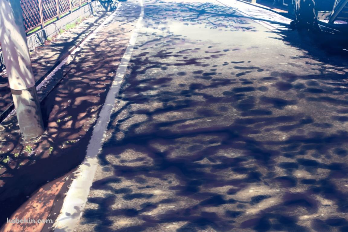 木の影が映る道路と電柱の壁紙(1152px x 768px) 高画質 PC・デスクトップ用