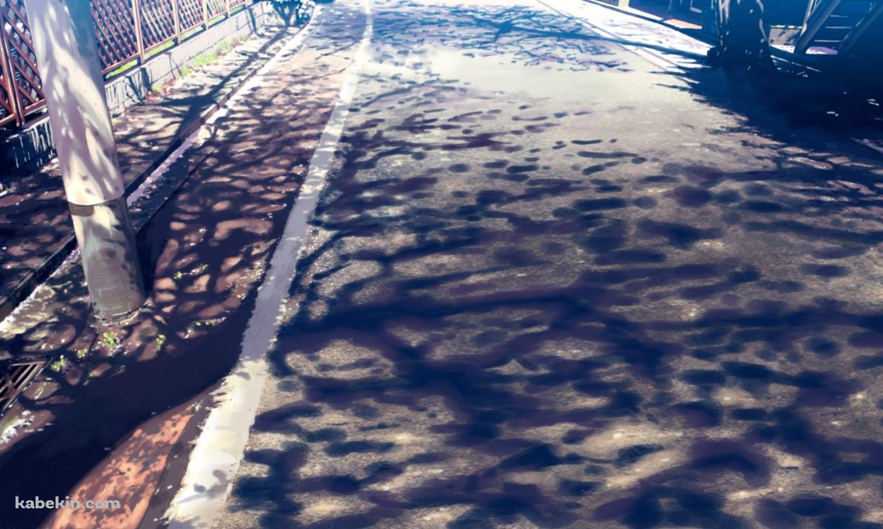 木の影が映る道路と電柱の壁紙(1280px x 768px) 高画質 PC・デスクトップ用