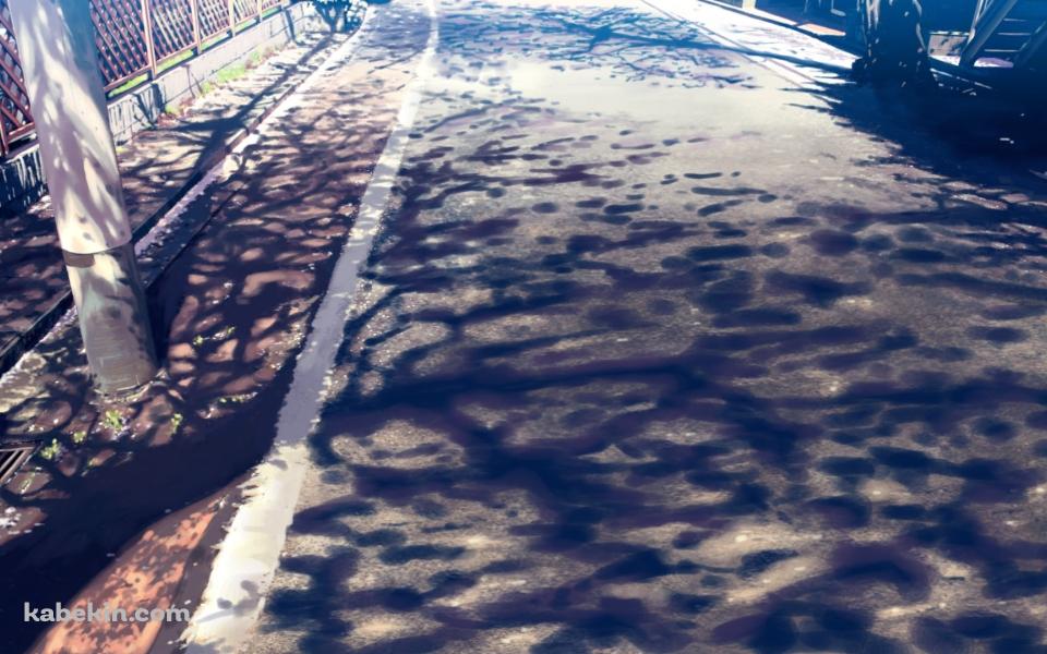 木の影が映る道路と電柱の壁紙(960px x 600px) 高画質 PC・デスクトップ用