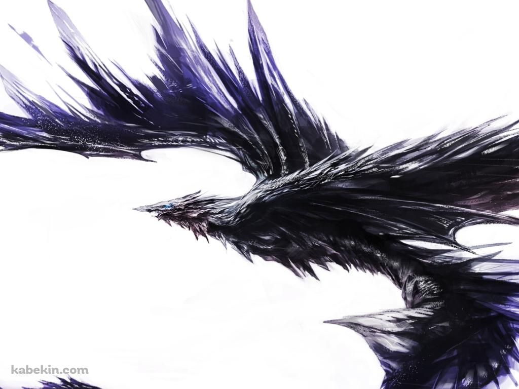 黒いごっつい鳥の壁紙(1024px x 768px) 高画質 PC・デスクトップ用