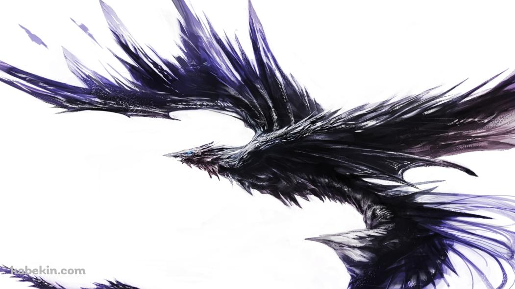 黒いごっつい鳥の壁紙(1051px x 591px) 高画質 PC・デスクトップ用
