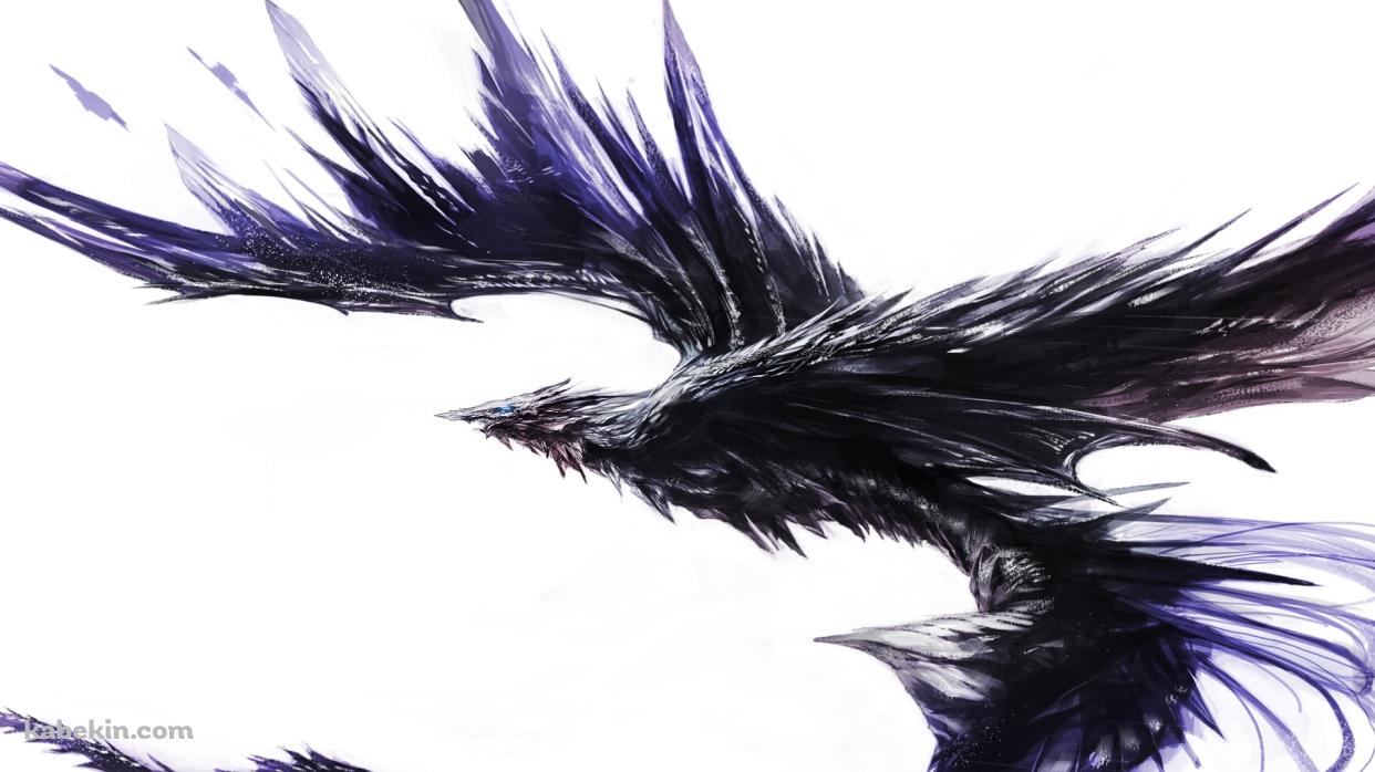 黒いごっつい鳥の壁紙(1242px x 698px) 高画質 PC・デスクトップ用