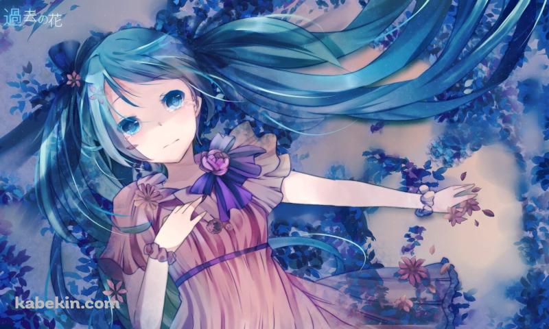 ピンクのドレスを着て寝転ぶ初音ミク / ボーカロイドの壁紙(800px x 480px) 高画質 PC・デスクトップ用