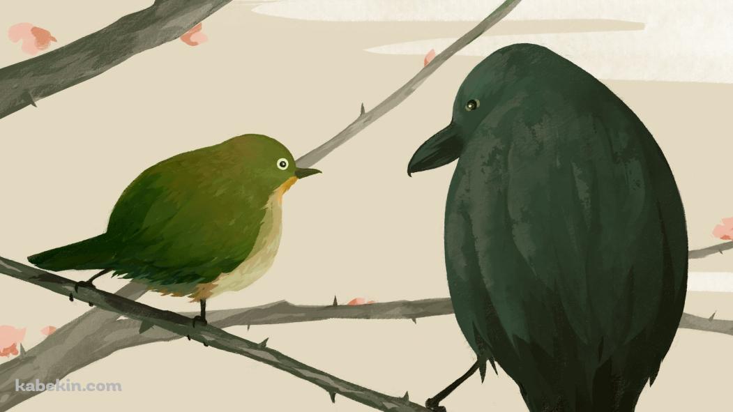 梅の木にとまるカラスとうぐいすの壁紙(1051px x 591px) 高画質 PC・デスクトップ用
