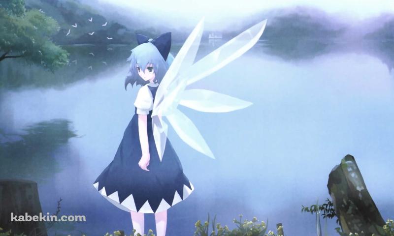 湖畔に佇むチルノ / 東方の壁紙(800px x 480px) 高画質 PC・デスクトップ用