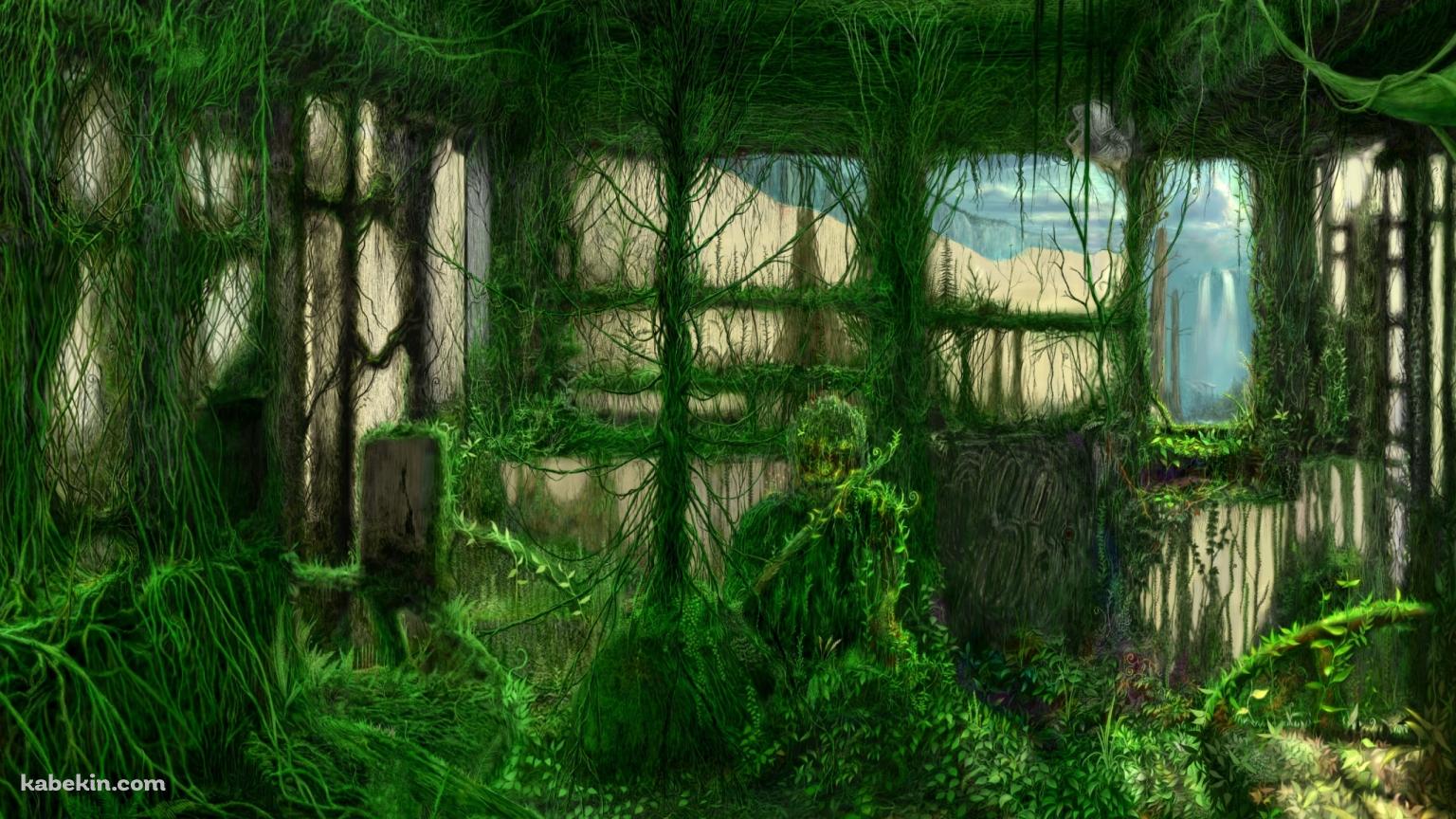 緑の苔むした部屋 / 大仏の壁紙(1536px x 864px) 高画質 PC・デスクトップ用
