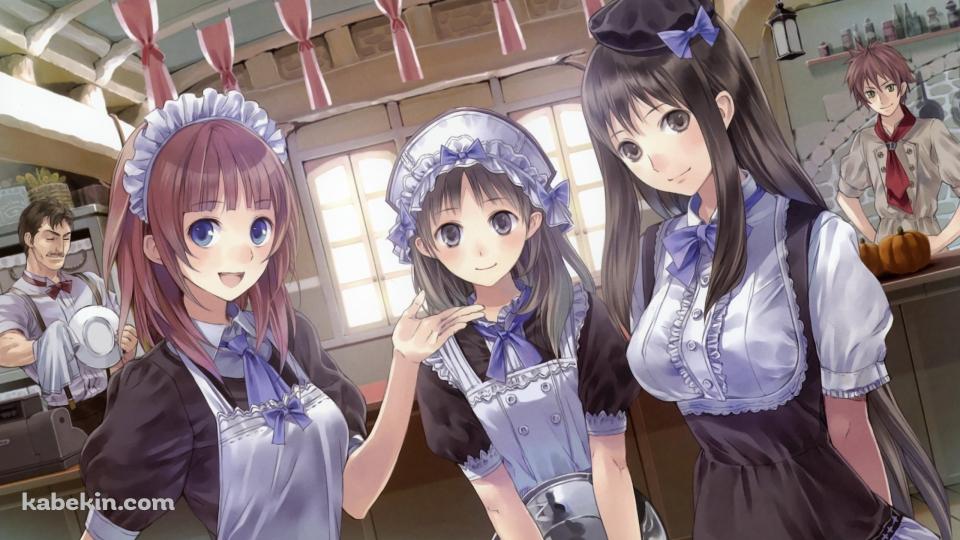 メイド姿のロロライナ・フリクセル / ツェツィーリア・ヘルモルト / イクセル・ヤーン / ゲラルド・コーネフ / アトリエシリーズの壁紙(960px x 540px) 高画質 PC・デスクトップ用