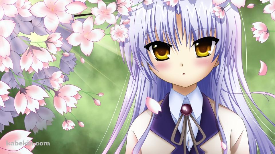 桜の花と立華奏 / エンジェルビーツ!の壁紙(960px x 540px) 高画質 PC・デスクトップ用