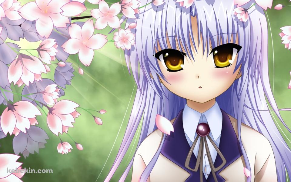 桜の花と立華奏 / エンジェルビーツ!の壁紙(960px x 600px) 高画質 PC・デスクトップ用