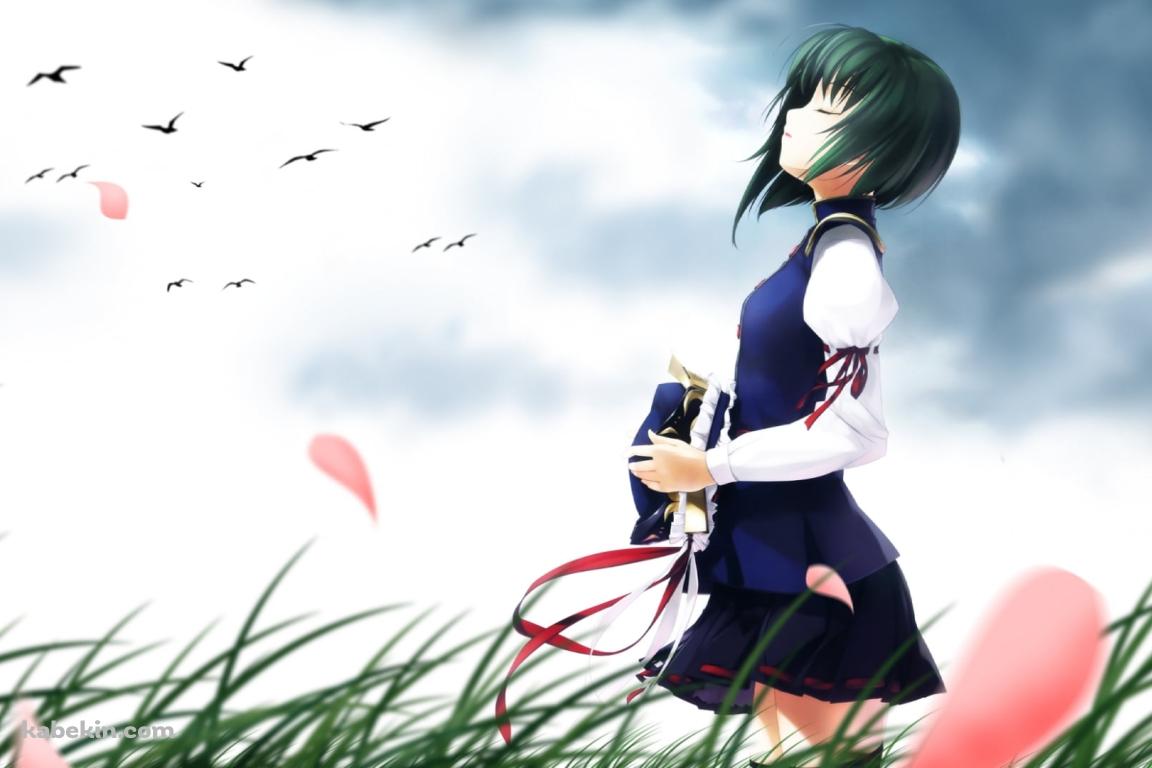 草原で帽子を取り目をつぶる四季映姫・ヤマザナドゥ / 東方の壁紙(1152px x 768px) 高画質 PC・デスクトップ用