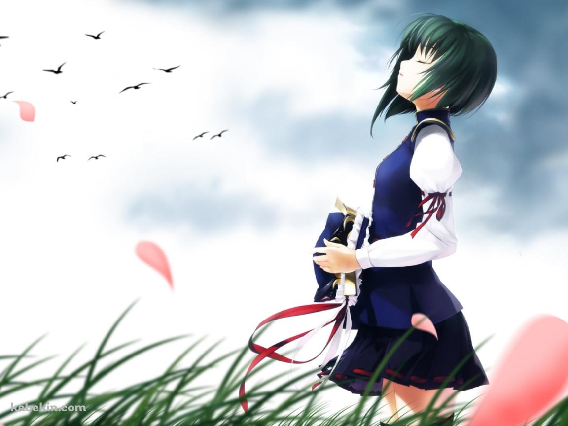 草原で帽子を取り目をつぶる四季映姫・ヤマザナドゥ / 東方の壁紙(1152px x 864px) 高画質 PC・デスクトップ用