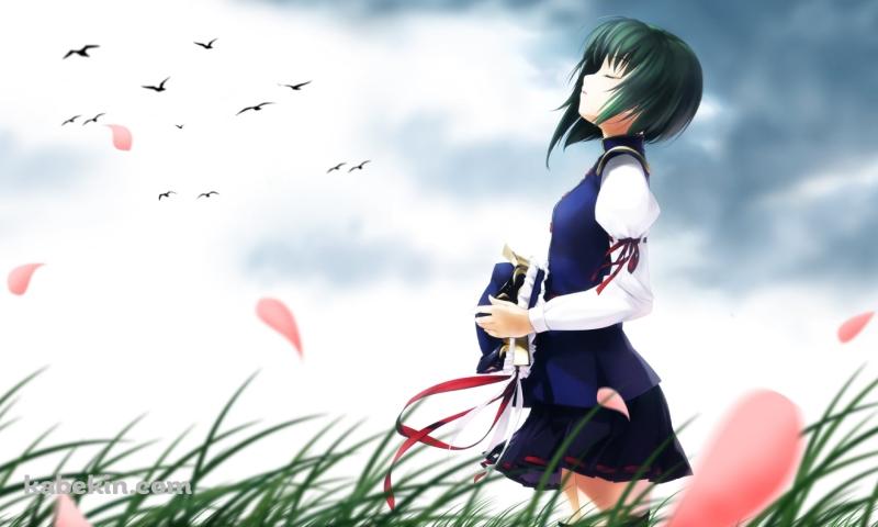 草原で帽子を取り目をつぶる四季映姫・ヤマザナドゥ / 東方の壁紙(800px x 480px) 高画質 PC・デスクトップ用