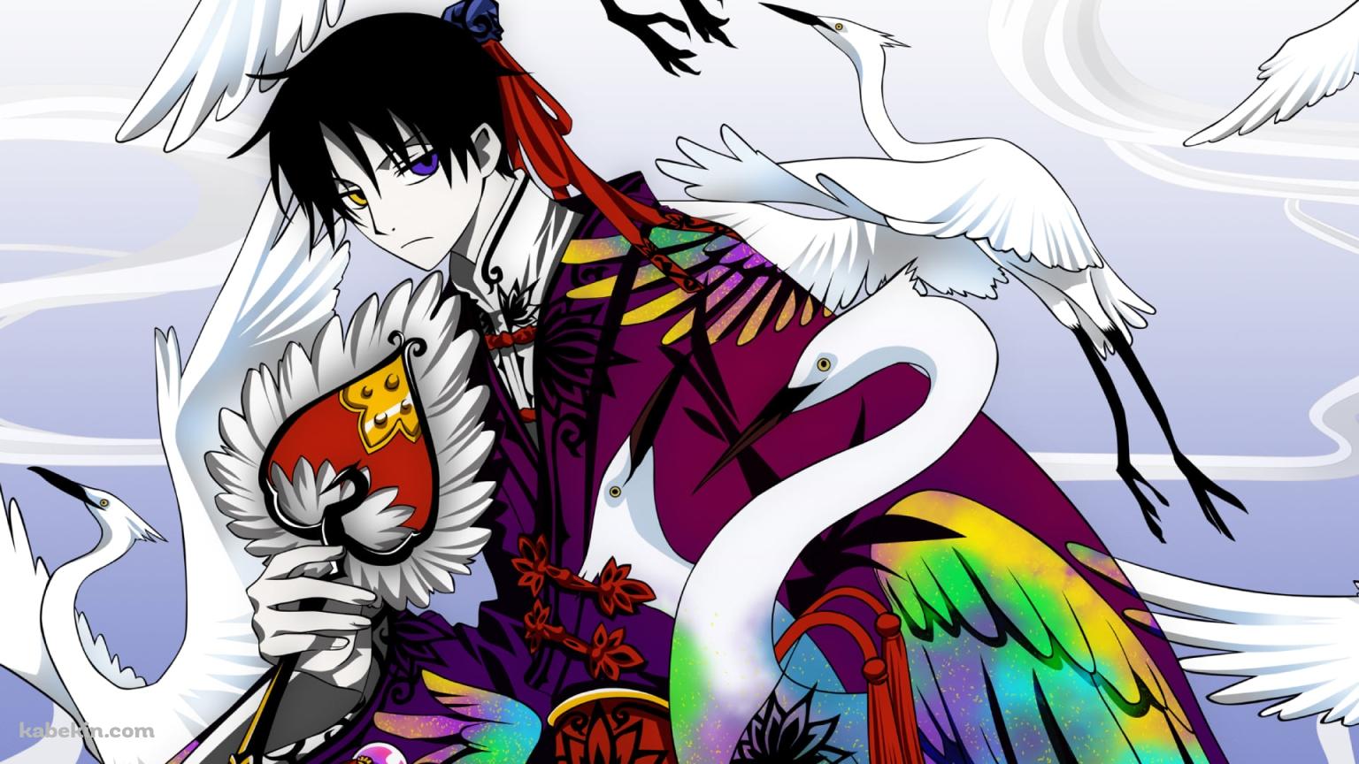 オッドアイ / 四月一日君尋 / XXX ホリックの壁紙(1536px x 864px) 高画質 PC・デスクトップ用