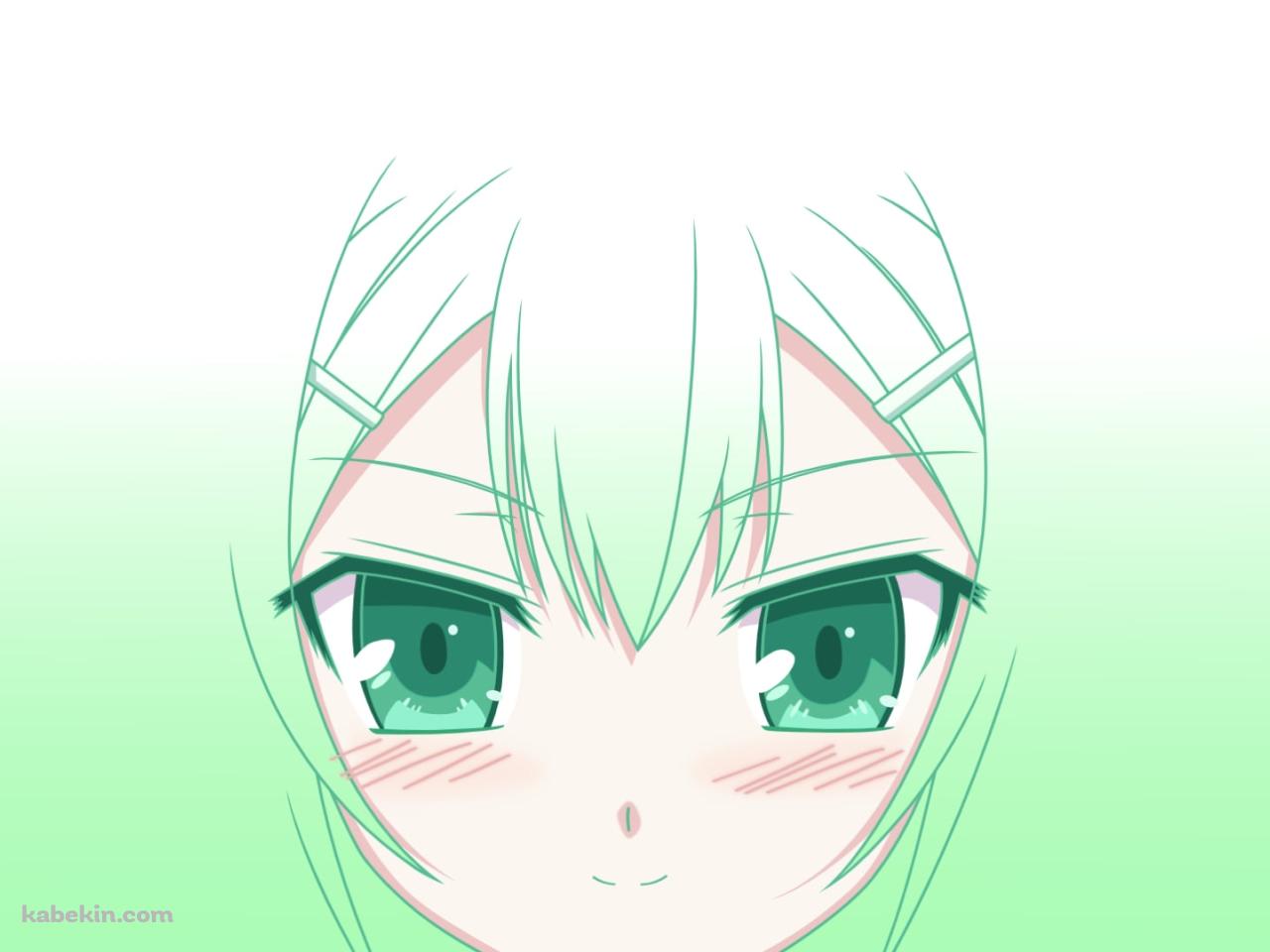 木下秀吉の顔のアップ / バカとテストと召喚獣の壁紙(1280px x 960px) 高画質 PC・デスクトップ用