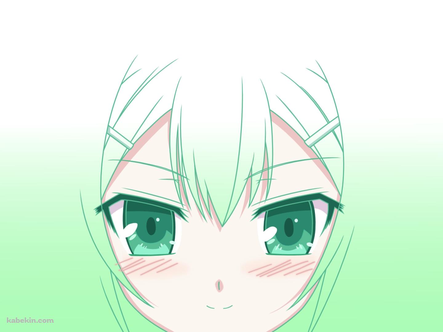 木下秀吉の顔のアップ / バカとテストと召喚獣の壁紙(1440px x 1080px) 高画質 PC・デスクトップ用