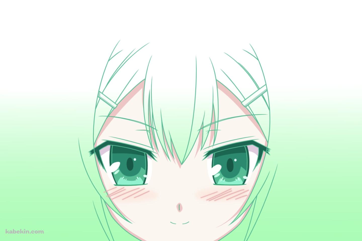 木下秀吉の顔のアップ / バカとテストと召喚獣の壁紙(1440px x 960px) 高画質 PC・デスクトップ用