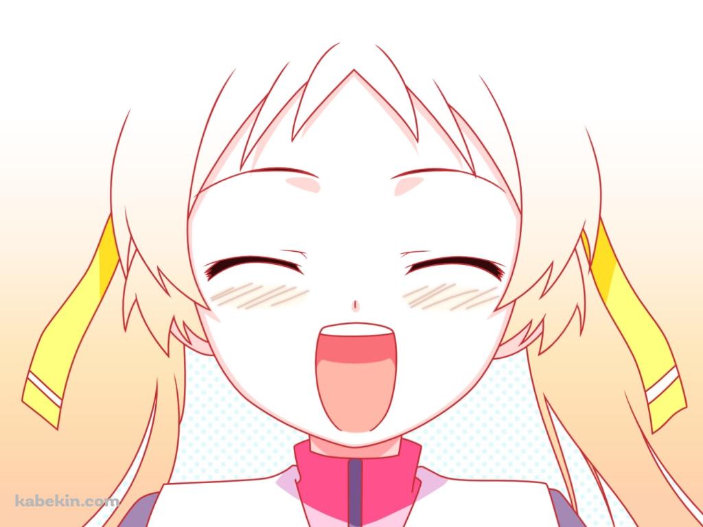 島田葉月の顔のアップ / バカとテストと召喚獣の壁紙(1024px x 768px) 高画質 PC・デスクトップ用