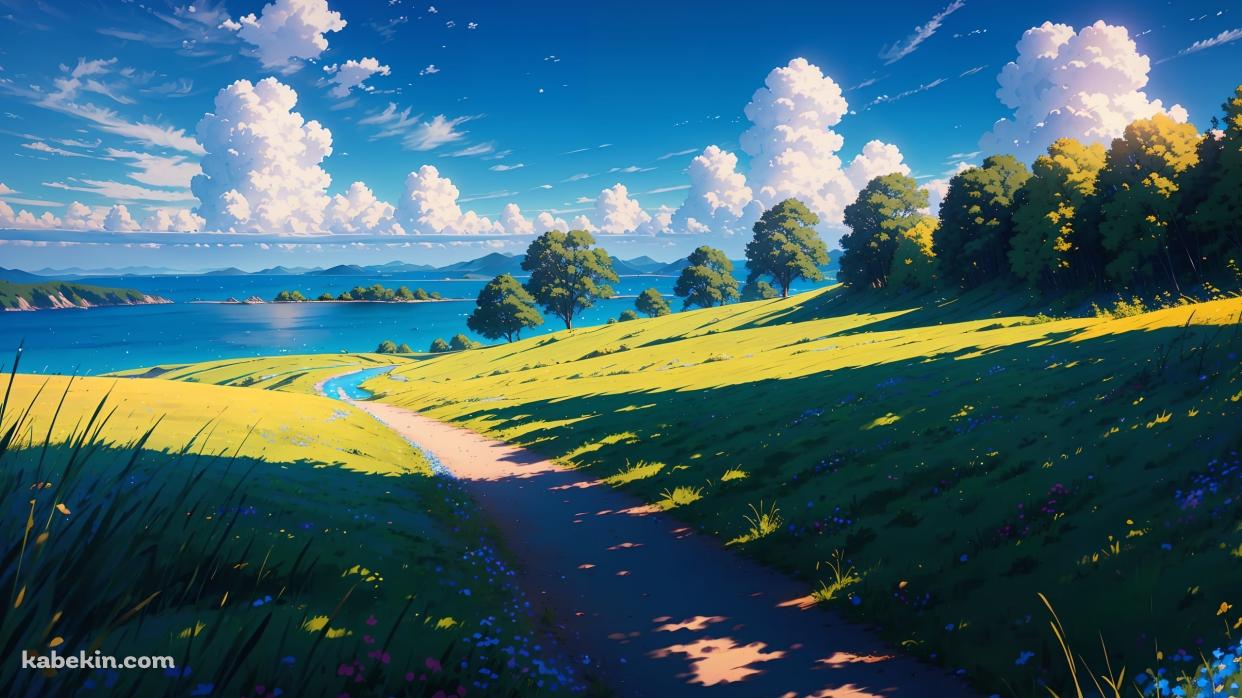 影のある湖へ続く道 / 夏の風景の壁紙(1242px x 698px) 高画質 PC・デスクトップ用