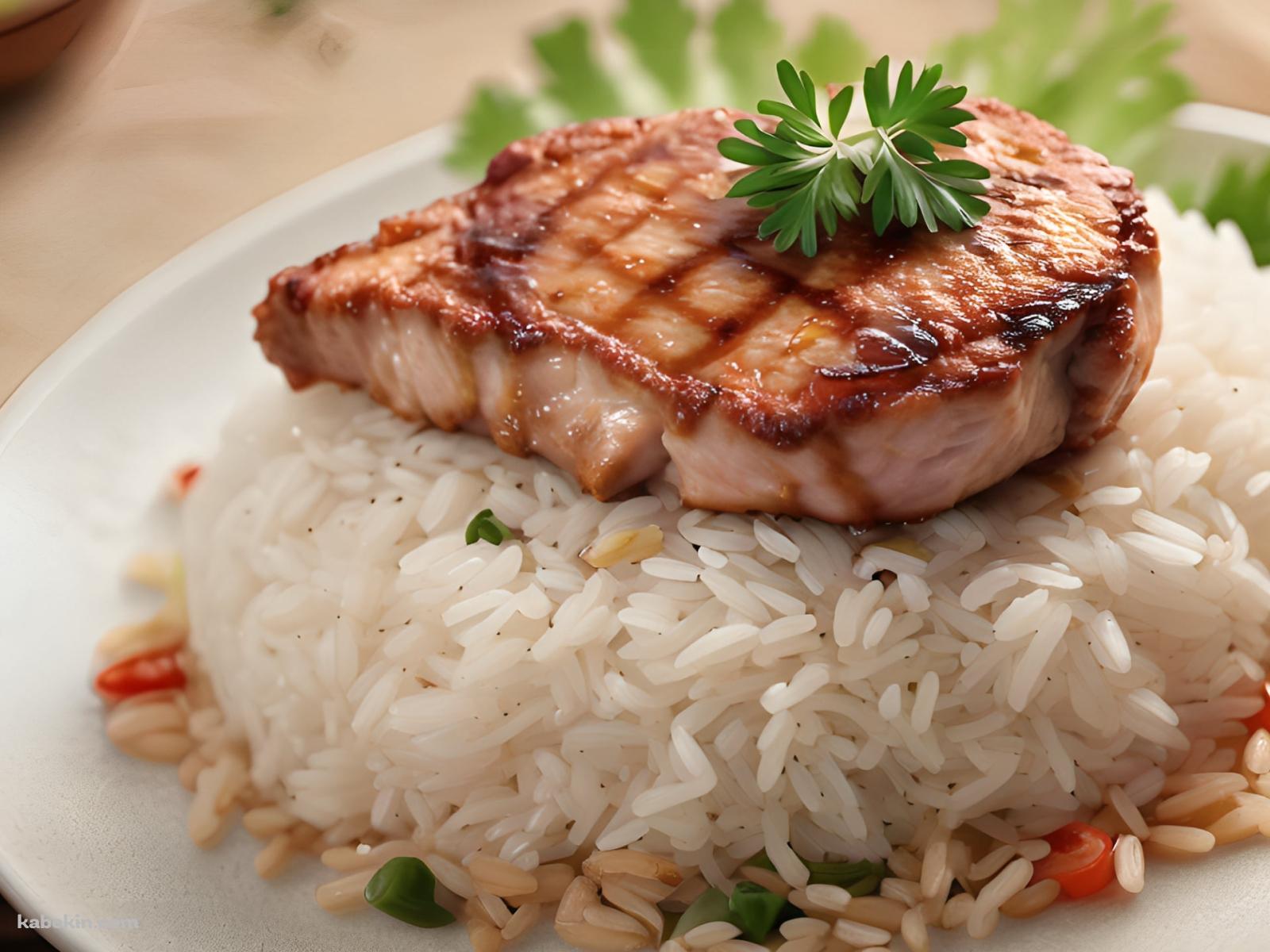 ライスの上にお肉が乗った美味しそうな料理の壁紙(1600px x 1200px) 高画質 PC・デスクトップ用