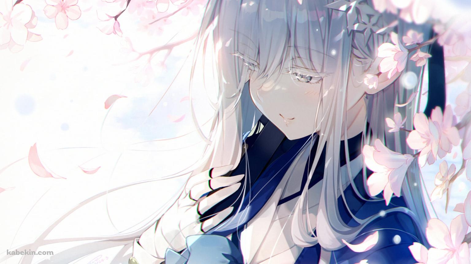 ピンクの花と御稜ナグサ / ブルーアーカイブの壁紙(1536px x 864px) 高画質 PC・デスクトップ用