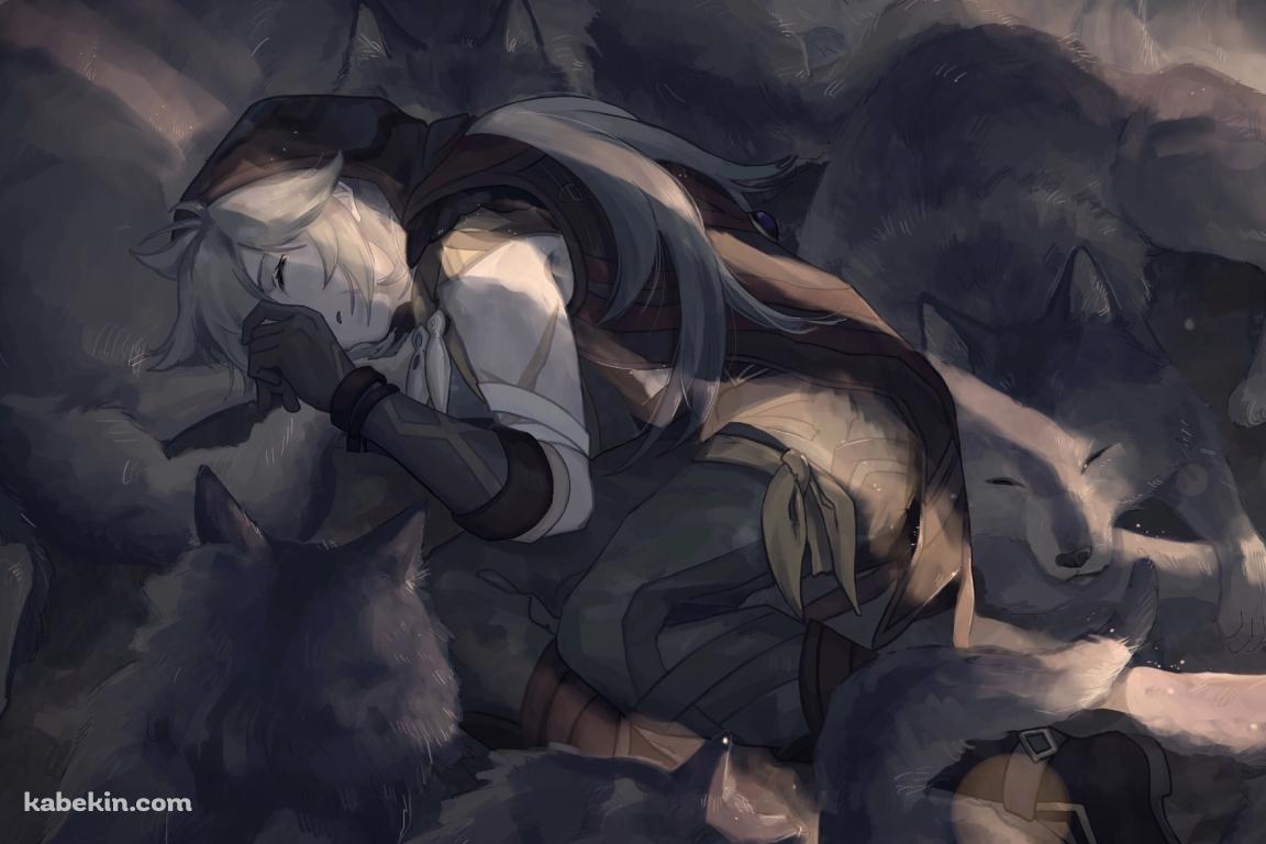狼に囲まれて眠る主人公 風 / 原神の壁紙(1152px x 768px) 高画質 PC・デスクトップ用