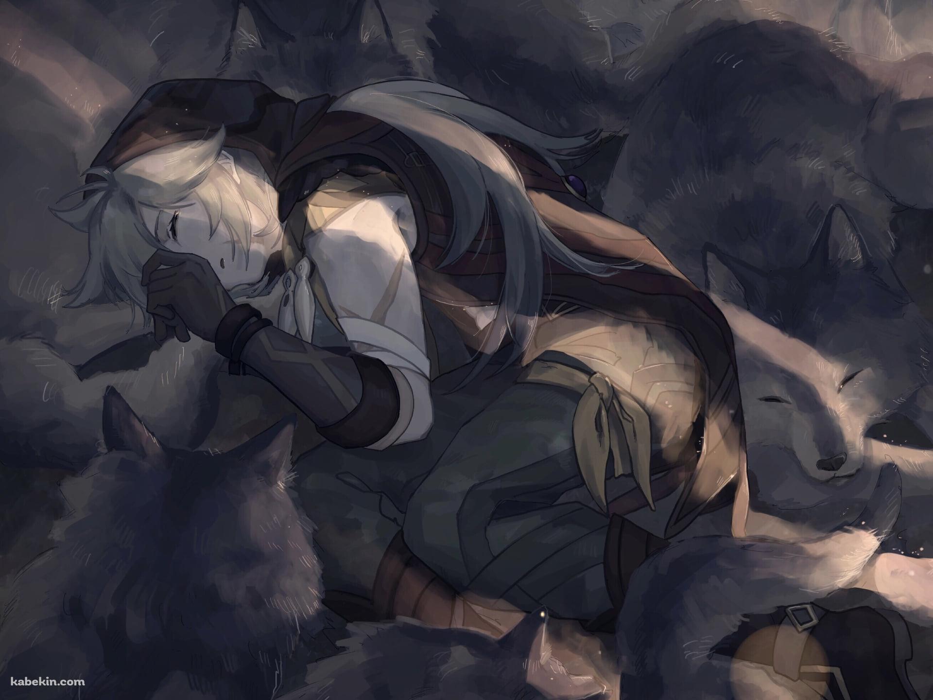 狼に囲まれて眠る主人公 風 / 原神の壁紙(1920px x 1440px) 高画質 PC・デスクトップ用