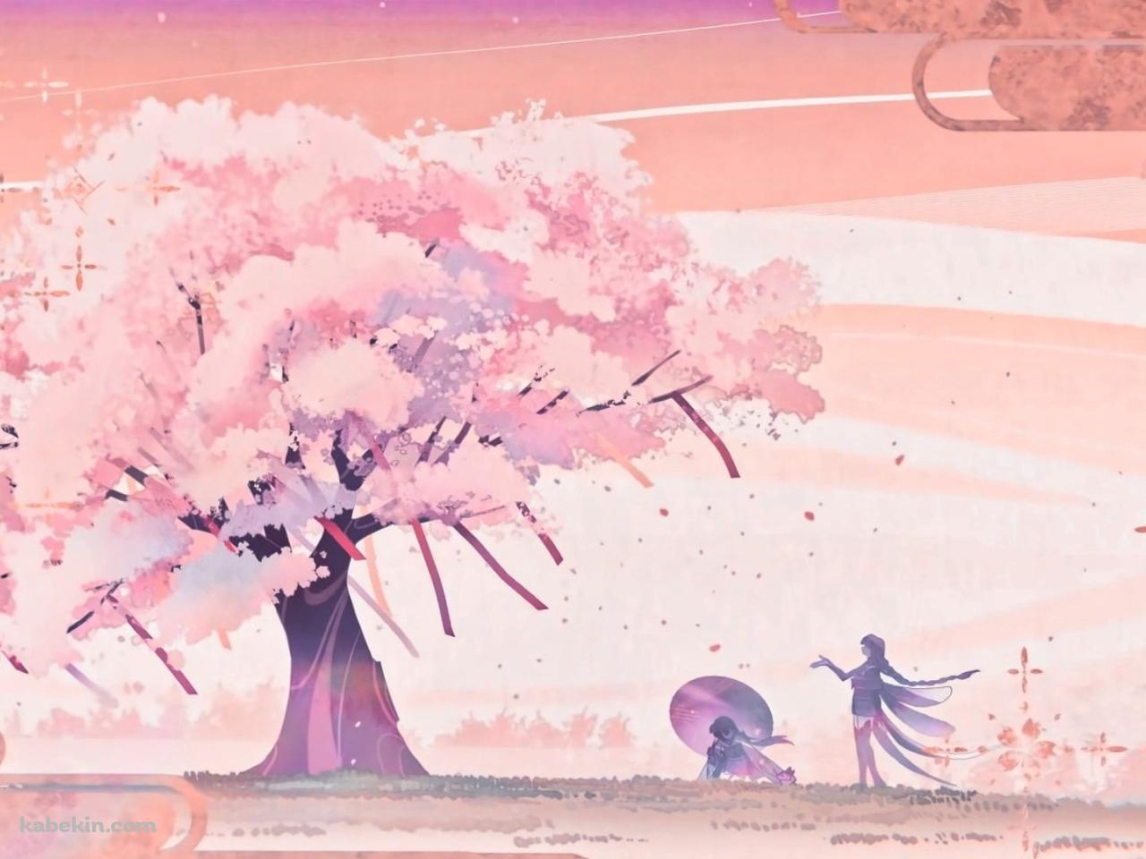 桜色のピンクの風景 / 原神の壁紙(1280px x 960px) 高画質 PC・デスクトップ用